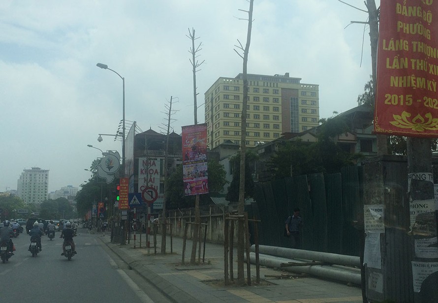Ảnh hàng cây trên đuòng Nguyễn Chí Anh.