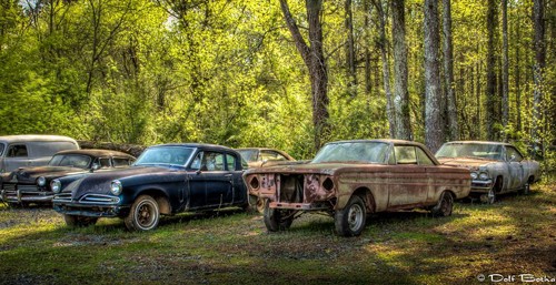 Từ việc thu gom phế thải ô tô kinh doanh, Dean Lewis biến những chiếc xe cũ thành vật trưng bày giữa rừng rậm, bán vé cho khách tham quan.