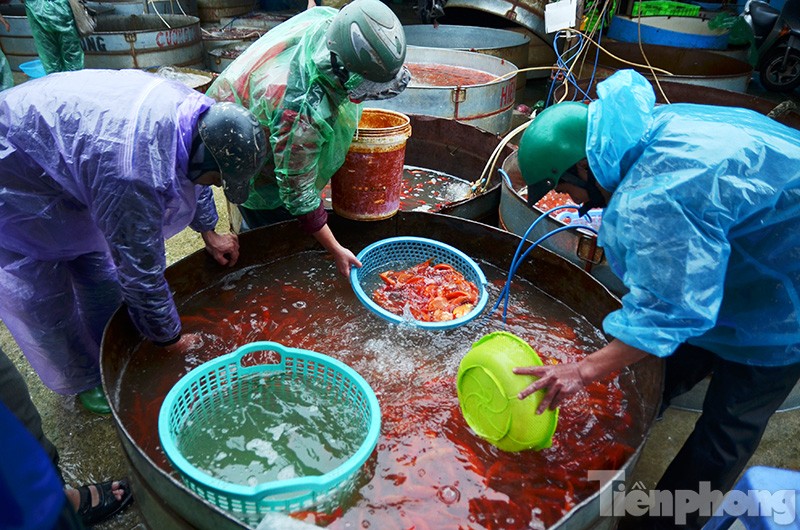 Chợ cá Yên Sở (Hoàng Mai, Hà Nội) là một trong những chợ cá đầu mối lớn nhất tại Hà Nội hiện nay. 