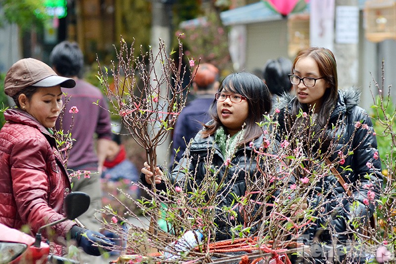 Những ngày cuối năm, chợ hoa Hàng Lược đã trở thành một nét văn hóa không thể thiếu của người dân Hà Thành vào mỗi dịp Tết đến Xuân về.