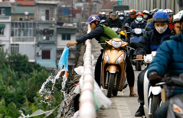 Phóng sinh là một nét đẹp trong các ngày lễ của người Việt, nó có ý nghĩa và thể hiện lòng thành của con cháu với tổ tiên tuy nhiên phóng sinh phải biết cách.