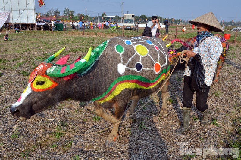 Sáng ngày 13/2 tại cánh đồng thôn Đọi Tín, xã Đọi Sơn, huyện Duy Tiên, tỉnh Hà Nam đã diễn ra hội thi vẽ trang trí trâu lễ hội Tịch điền Đọi Sơn 2016.