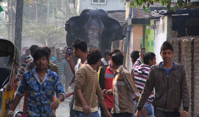 Theo The Atlantic, con voi đực đi ra khỏi rừng Baikunthapur hôm 10/2, băng ngang đường và một con sông nhỏ trước khi vào thị trấn Siliguri. Ảnh: AP 