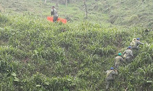 Công tác tìm kiếm cứu hộ diễn ra sau khi máy bay quân sự Ecuador rơi ở vùng rừng Amazon.