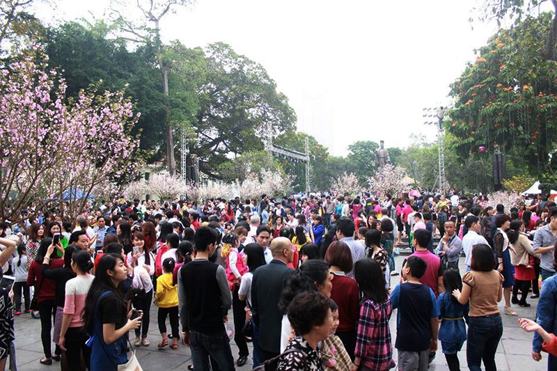 Ngày 20/3, hàng nghìn người dân Thủ đô đổ về khu vực tượng đài Lý Thái Tổ (Hà Nội) ngắm hoa anh đào đến từ Nhật Bản.