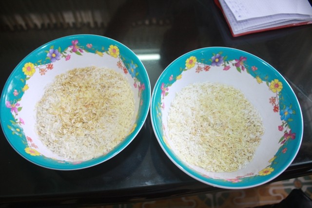 Cả hai mẫu gạo đều cùng chung một hiện tượng đổi màu sau khi ngâm nước nhiều giờ.