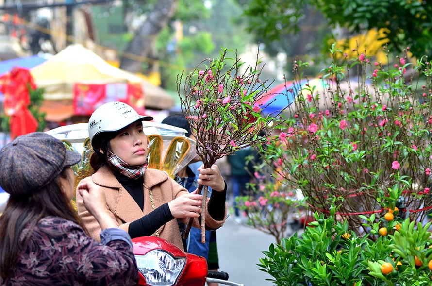 Chợ hoa Hàng Lược là nơi thu hút nhiều người dân Thủ đô đến thăm quan, mua sắm vào thời điểm áp Tết.