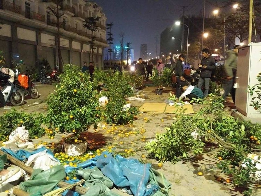Hàng loạt cây quất bị người dân bỏ lại vào tối 30 Tết tại khu vực đường Tố Hữu kéo dài.