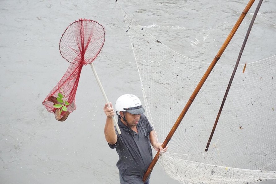 Sáng 21/7, tại một số đoạn sông ở Hà Nội, nhiều người dân mang lưới đi bắt được khá nhiều cá.