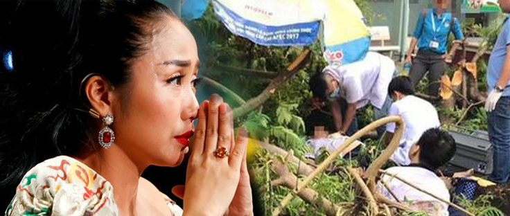 Sao Việt đau lòng lên tiếng sau vụ cây đổ khiến học sinh tử vong