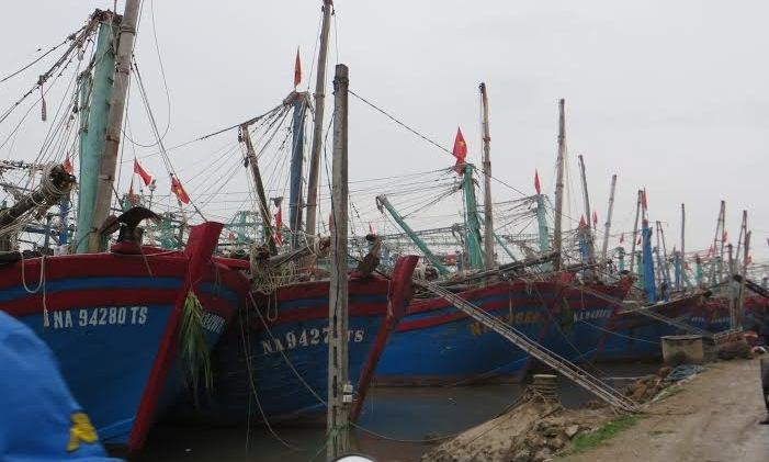 Nghệ An: Tàu thuyền của ngư dân đã vào bờ trú bão an toàn