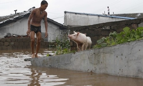 Người Triều Tiên trong trận lụt hồi tháng 7/2012 ở thành phố Anju, tỉnh South Phyongan. Ảnh: AP.
