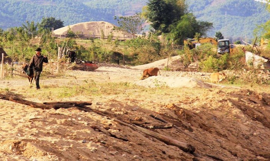 Điểm tập kết gỗ tại nơi khác thác cát của Công ty Bảo Sơn.