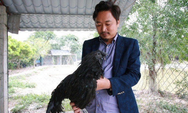 Anh Trần Nhữ Giáp với chú gà đen Indo có giá đắt nhất trên thị trường hiện nay.