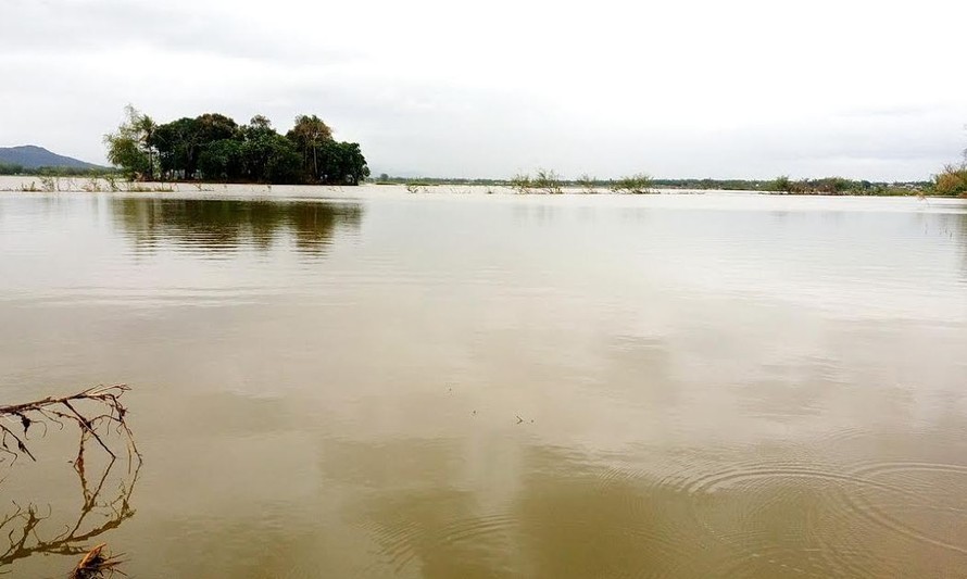 Đồng ruộng ở xã Phước Hòa chìm trong biển nước.