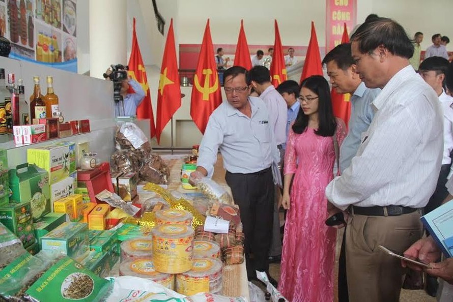 Các đại biểu trên toàn quốc tham quan các mô hình kiểu mẫu trong xây dựng NTM ở Hà Tĩnh. 
