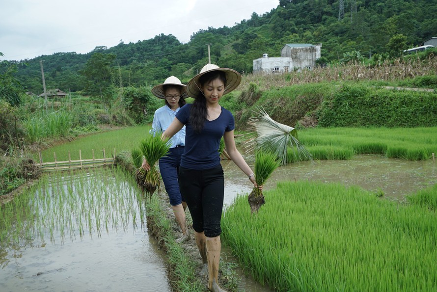 Thí sinh Phạm Thị Minh Châu (SBD 335) và Lê Thanh Tú (SBD 146) trải nghiệm cấy lúa cùng bà con dân bản.