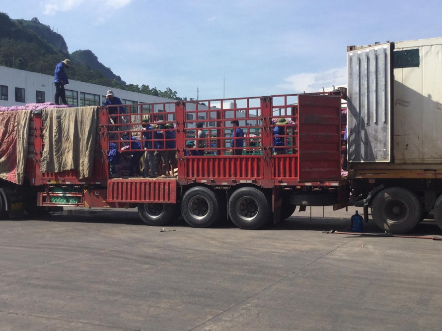 Khi thí điểm những xuất nhập hàng, công tác san tải nông sản từ xe Việt Nam sang xe Trung Quốc gặp nhiều khó khăn, bất cập. Ảnh: Duy Chiến 