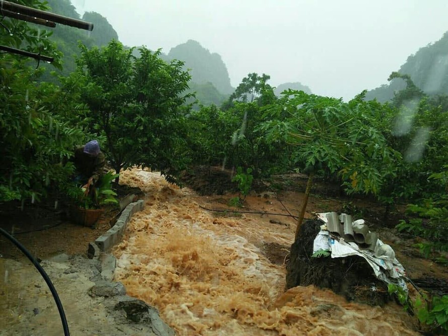 Người nông dân Chi Lăng (bìa trái) vẫn cặm cụi hái na trên núi - Ảnh: Thanh Bình 