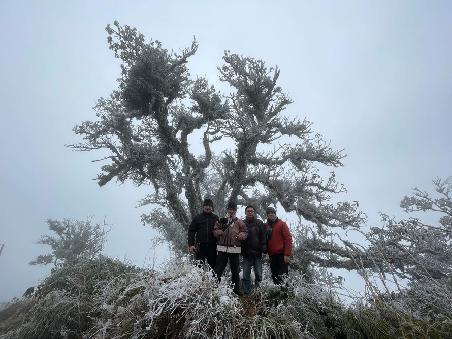 Nhiều thanh niên lên đỉnh núi Cao Bằng săn tuyết, chụp ảnh .Ảnh: Đ. Dương