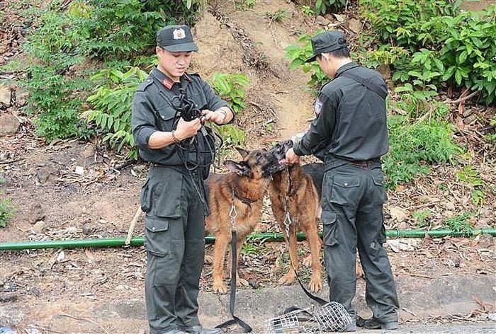 Công an tỉnh Lạng Sơn huy động chó nghiệp vụ truy bắt đối tượng lẩn trốn. (Ảnh minh họa)