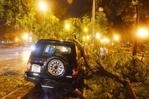 Mưa lớn làm đổ hàng loạt cây ở Hà Nội đêm 4/6.