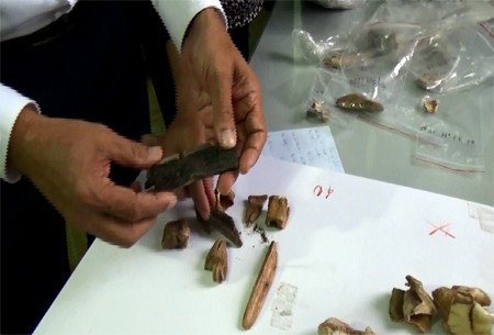 Hiện vật xương bị đốt cháy lần đầu được phát hiện tại di chỉ khảo cổ Thạch Lạc khiến các nhà khảo cổ rất ngạc nhiên