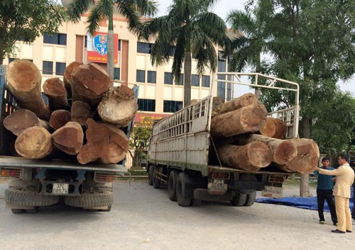Hiện trường bắt giữ 2 xe tải chở gỗ không giấy tờ hợp lệ, quá trọng tải cho phép. Ảnh: Công an Thanh Hóa.