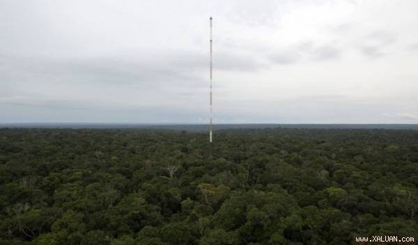 Tháp quan sát được xây dựng trong rừng mưa Amazon, cách thành phố Manaus, Brazil, khoảng 160 km. Tháp cao 335 m và có màu vàng cam sáng, nổi bật giữa những tán rừng phủ xanh dưới mặt đất.
