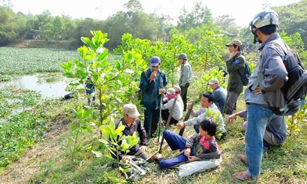 Đà Nẵng: Dân đổ xô lên núi săn rùa lạ bán hàng trăm triệu đồng