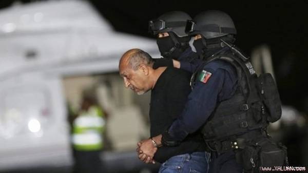 Tổng thống Mexico vui mừng vì bắt được “vua ma túy”