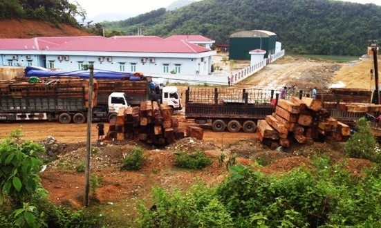 Bắt đoàn xe chở gỗ 'khủng' vượt cửa khẩu vào Nghệ An