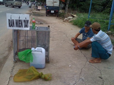 Điểm bày bán “Rắn miền tây” với đủ loại rắn độc trên vỉa hè đường Võ Thị Sáu, phường Thống Nhất, TP.Biên Hòa