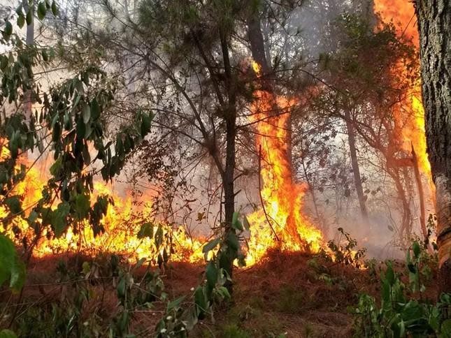 Một ngày xảy ra 2 vụ cháy rừng ở Nghệ An