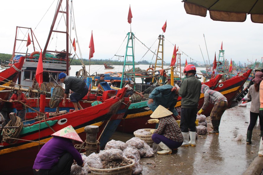 Cảng cá Lạch Vạn (thuộc xã Diễn Ngọc, huyện Diễn Châu, Nghệ An), nơi đây có hàng trăm người tập trung về để buôn bán, trao đổi hải sản mỗi ngày.