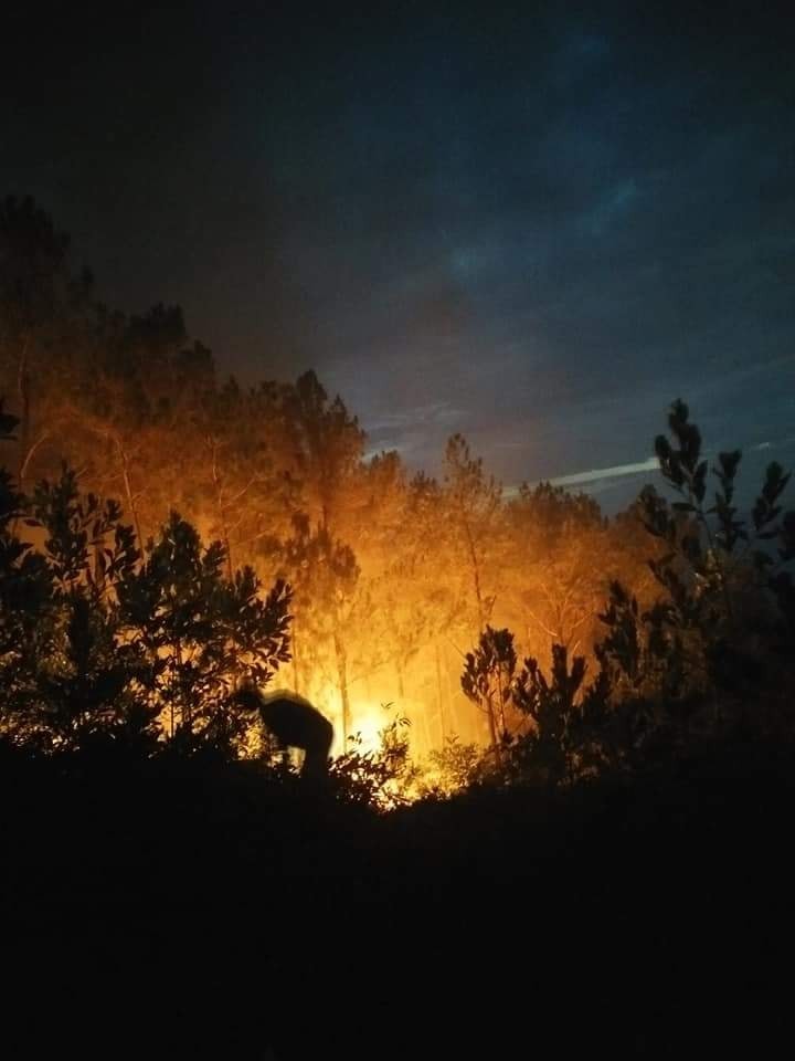 Gần 2 nghìn người của 3 huyện tham gia chữa cháy rừng 