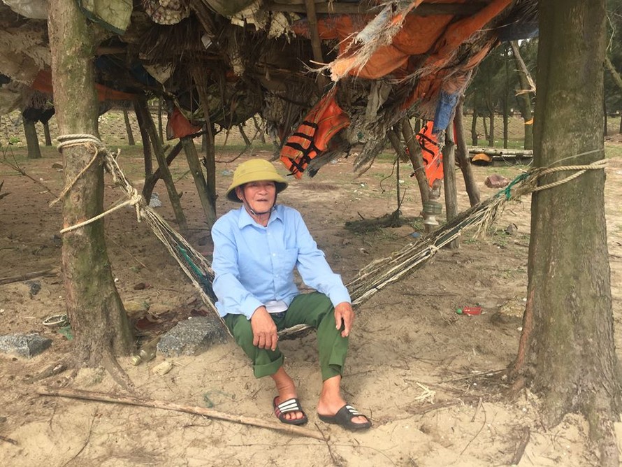 Chuyện cựu binh xứ Nghệ dành tiền trồng phi lao cứu người