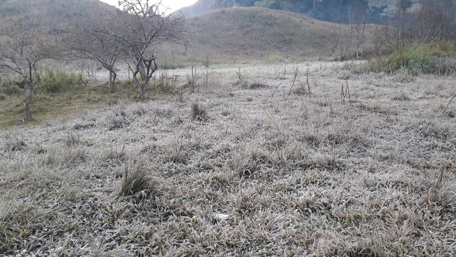 Băng giá phủ kín rừng cây bãi cỏ ở huyện biên giới Nghệ An