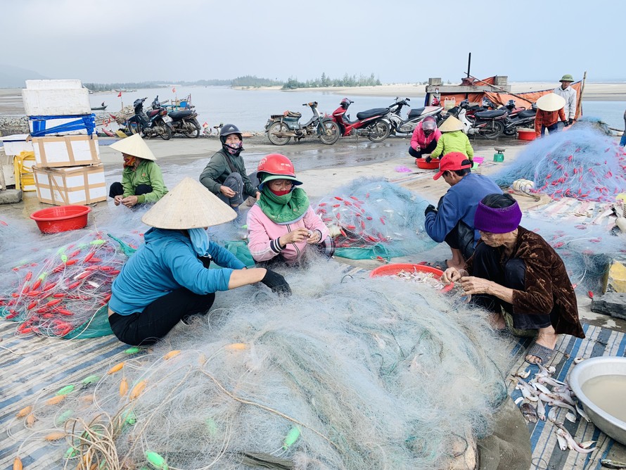 Được mùa cá cháo, ngư dân Hà Tĩnh thu tiền triệu mỗi chuyến ra khơi