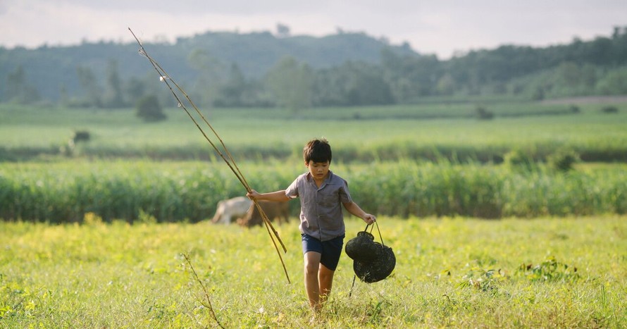 "Tôi thấy hoa vàng trên cỏ xanh" - ứng viên nặng ký