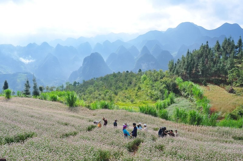 Choáng ngợp với thiên nhiên tuyệt đẹp của Hà Giang trong "Lặng yên dưới vực sâu"