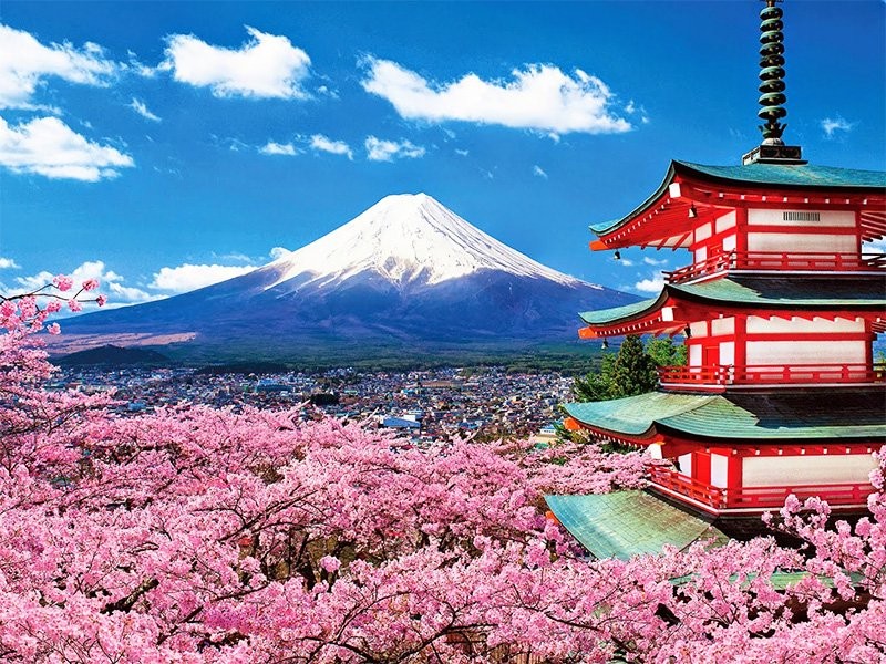Nhật Bản hủy bỏ tư cách, đình chỉ 8 công ty du lịch đại diện tư cách xin cấp visa đoàn