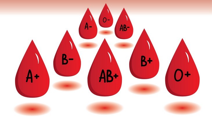 Nhóm máu O+ có phải là nhóm máu hiếm không?