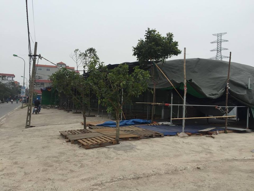 Hà Nội: Lấn chiếm đất nông nghiệp dựng lều bán hàng