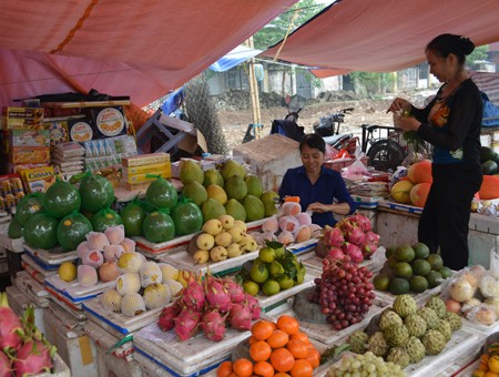 Hà Nội: Sắp cấp logo nhận diện cho cửa hàng hoa quả đảm bảo
