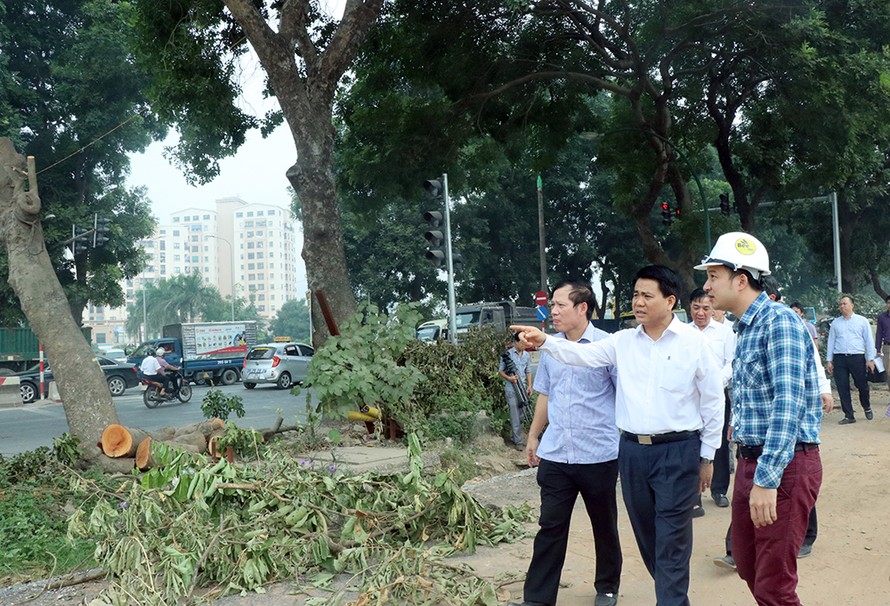 Chủ tịch Hà Nội kiểm tra đột xuất việc chặt hạ cây xanh
