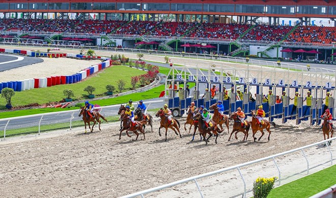 Chính phủ phê duyệt điều chỉnh xây trường đua ngựa tại Sóc Sơn