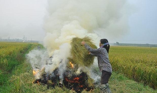 Hoạt động đốt rơm rạ vẫn diễn ra thường xuyên tại các huyện ngoại thành Hà Nội. Ảnh minh họa