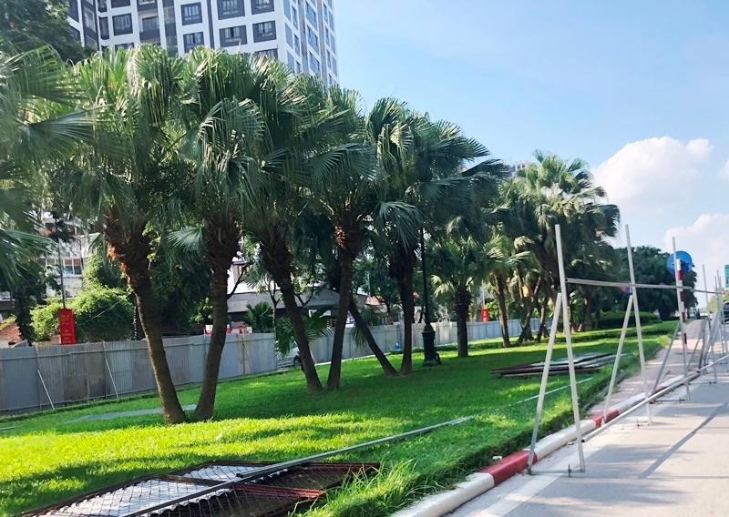 Nhiều cây xanh đô phố Liễu Giai - Văn Cao sẽ được đánh chuyển để mở rộng lòng đường.