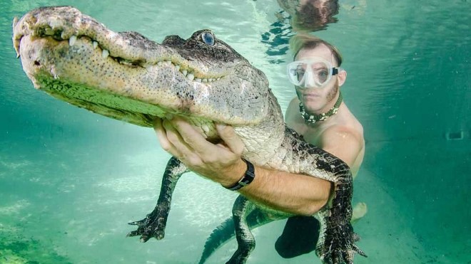 Chụp hình cùng cá sấu hoang dã để gây quỹ